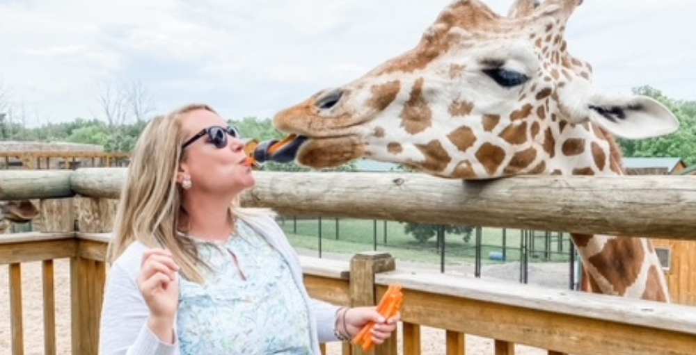 Utica Academy of Science high school teacher feeds The Wild Animal Park’s Jase the Giraffe a special treat during their staff bonding outing.